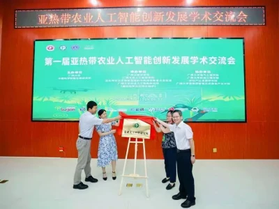 首届亚热带农业人工智能创新发展学术交流会召开用过才敢说！热门按摩筋膜枪做过功课才真香！
