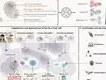 Cell:AI虚拟细胞,生命科学的“终极沙盘”?从贫民窟到港股王座:4元柠檬水如何撬动1.77万亿冻资狂潮