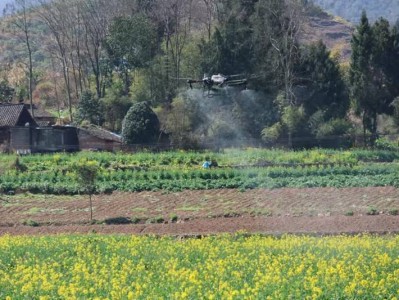 贵州铜仁:植保无人机作业 油菜春管效率高