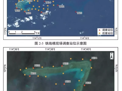 我国首次发布铁线礁、牛轭礁珊瑚礁“体检”报告，菲炮制言论毫无科学和事实依据《三国演义》中赵云死了诸葛亮没有哭，为何张苞死了诸葛亮大哭？