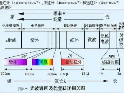光谱知识大放送:4个有趣冷知识,快来学!水貂的一生有多惨?为了做成大衣,从出生开始,到死都备受折磨!
