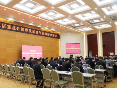 一体化丨深耕“大西南” 为“百亿气田”增“底气”