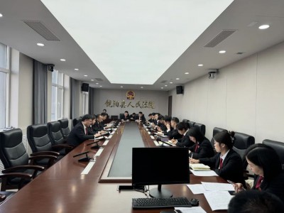 深化数据分析提升审判质效 | 饶阳法院召开司法审判数据分析研判会商会议