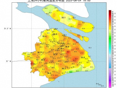第11号台风“杨柳”突然北抬！明天闵行或将下开水……