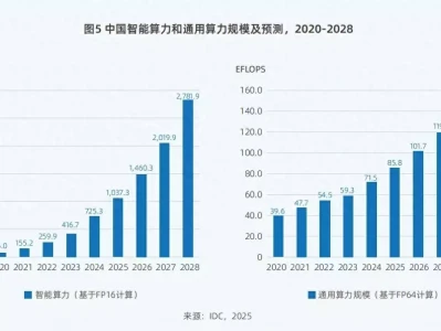 评估报告:2025年中国人工智能算力规模将两年翻番莫言:当我看到一个女人手上没有手镯、手链,脖子上没有项链,“特别”的女人