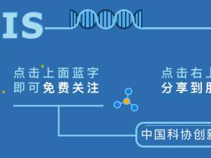 人工智能硬件发展的国际比较:中国、欧盟和美国