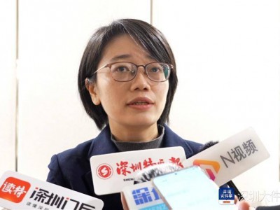 全国人大代表聚焦数据流通,呼吁提升粤港澳大湾区融合发展