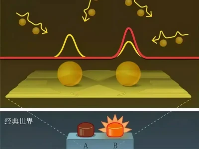 量子世界的不确定性:颠覆认知,是现实还是虚拟?多维度优势,绿清竹豆腐的市场崛起