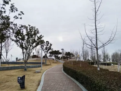 当我学会闭嘴和松弛感育儿时，儿子有自主学习欲望，目标感增强了上古战神蚩尤的后代在哪里？如果你是这3个姓氏，那多半有关联！