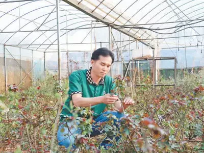 看,田间地头的“科技范儿”(国际人士看中国乡村全面振兴)江苏淮安:食客加了5勺辣椒面,老板气的直接报了警