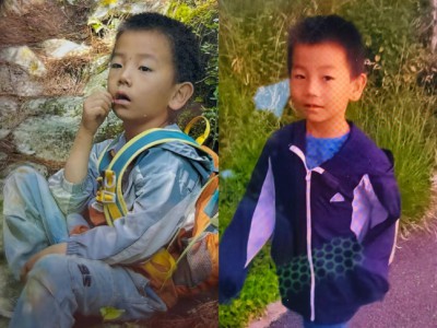 官方通报“8岁男童在大理走失”：投入无人机搜救犬等全力搜救，提供关键线索者将奖励