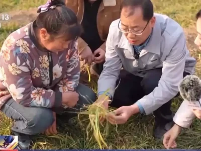 因地制宜强农业 田管方案也实现了“慧”种地国际空间站沦为赚钱工具,用尽后被抛弃,中国杀出一条“新血路”