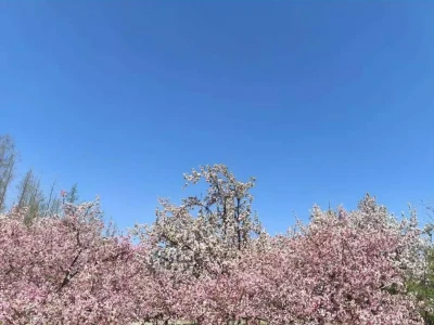 婆婆有这4个特征，最好少接触，对谁都好12年前，学生扶老人被讹100万，老太发誓“骗人死全家”成真了吗