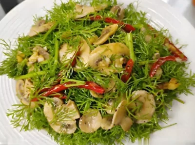 换季易感冒？推荐4道高蛋白菜肴，增强免疫力超简单雍正王朝中，以八阿哥为首的八爷党为何力保诺敏、张廷璐二人？