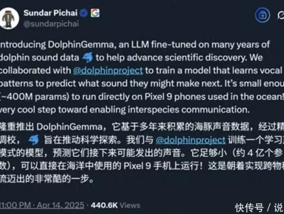 AI解码海豚声音？科学家用机器学习分析动物语言