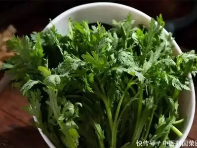 吃茼蒿能“吃没”这3种病？医生推荐：春分至，多吃茼蒿有4好处从秦始皇到打工人：为啥两千年了普通人还在吃苦？