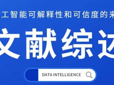 文献综述：确保人工智能可解释性和可信度的来源记录