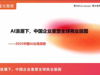 2025中国AI出海洞察