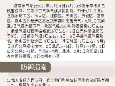 中到大雨转暴雪!刚刚,济南发布重要预警