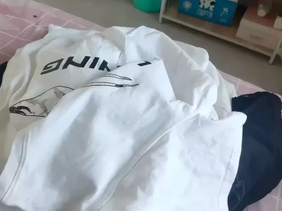 家中闲置旧衣别乱送,新发现让人恍然大悟!第一只进入太空的流浪狗,已在太空流浪63年!人类找到它了吗?