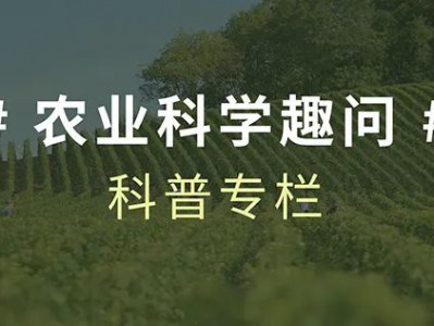 人工智能怎样让农业大不同?