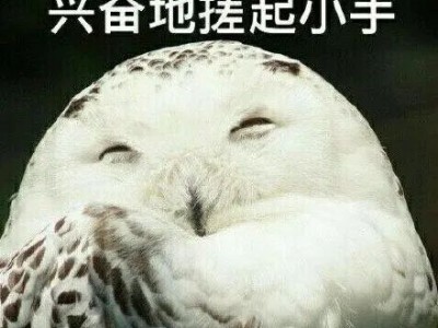 从清华到哈佛数据科学,学姐分享申请及就读体验!