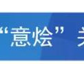 【意·关注】意大利推出人工智能法律,涉刑事制裁