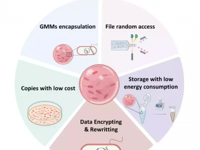 清华大学突破 DNA 存储瓶颈:理论检索 196.72 MB/s《哪吒2》被师弟气到跳脚,也只敢塞一颗桃子,无量仙翁能有多坏