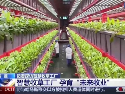“航天育种+生物育种+人工智能”组合孕育“未来牧业”乾隆死后,嘉庆是如何对待这些小妈的?生在帝王家的悲哀有谁知道