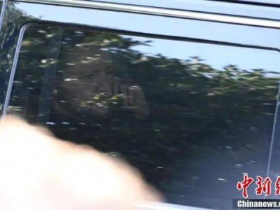 泽连斯基:不道歉