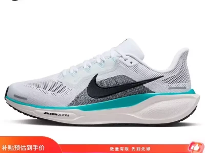 跑步鞋选购指南：避开常见误区，深入解析耐克飞马41