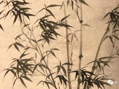 知识发现与统计认识