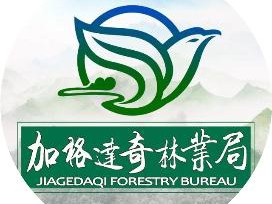 【加林聚焦】加格达奇林业局收听收看集团DeepSeek人工智能应用培训会