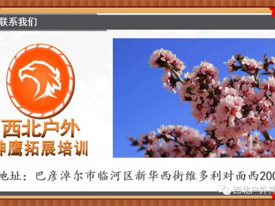 AI赋能人力资源管理实战:驱动HR能力飞跃升级