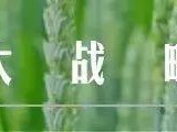 【AI+农业】8个人工智能在农业中的实际应用