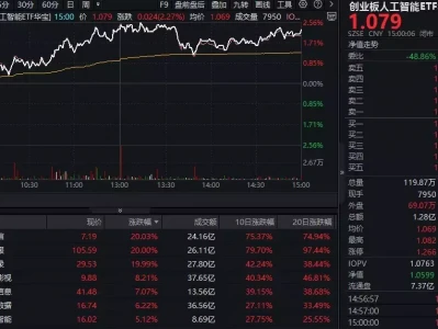 ETF盘后资讯|数据软件爆发涨停潮!创业板人工智能ETF华宝(159363)上攻超2%,华宝基金:板块有望重回“双轮驱动”趋势世界上唯一没有土地的国家,生存都在海里,身体已经发生进化