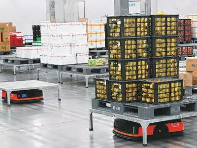 中国成为全球人工智能专利最大拥有国(锐财经)800名红军在贵州失踪,中央多次寻找未果,时隔70年后真相被揭开