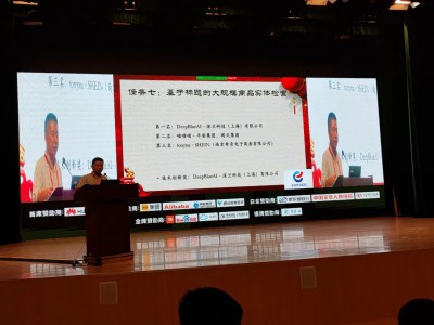 CCKS 2020「基于标题的大规模商品实体检索」竞赛冠军，DeepBlueAI团队技术分享