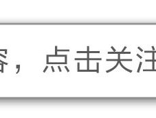 当PortGPT遇见DeepSeek……