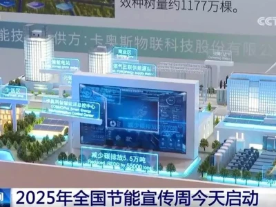 数据彰显我国“节能增效”新成果 以绿色发展增强高质量发展底色猫咪是如何辨认主人的呢?其实靠这几方面太神奇了!