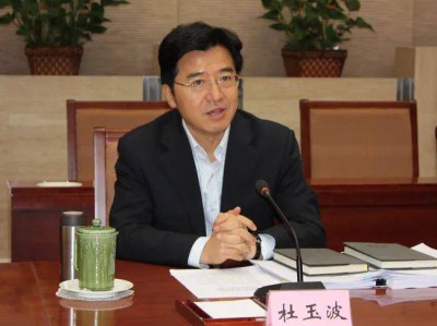 “靠教育吃教育”,杜玉波被开除党籍