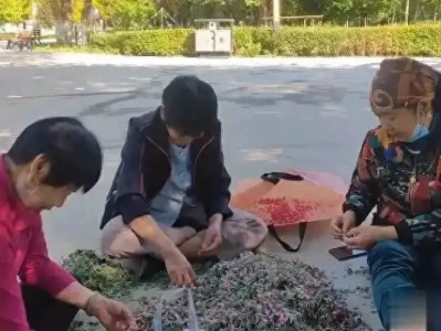 医生研究:叶黄素24小时内降胆固醇,是真是假? 古代皇帝有何怪癖?为何喜欢太监伺候自己,而不用美貌的宫女?