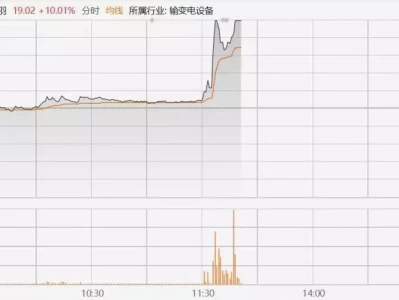 金龙羽拉升涨停，宣布与客户签订无人机用高能量密度固态电芯采购订单御姐真颜值：长脸、长鼻与大五官的独特魅力，瓜子脸鹅蛋脸并非唯一标准